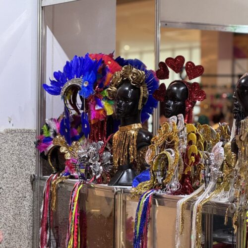 Foliões encontram tudo em um só lugar na Cidade Seu Carnaval