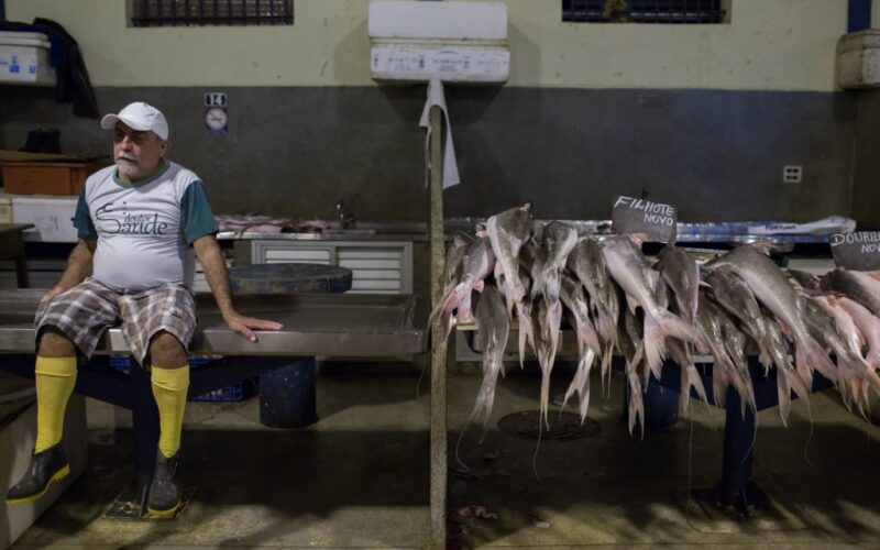 Colapso de peixes migratórios torna a Amazônia o epicentro de uma crise ambiental