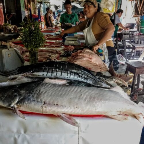 COP15 aprova medida internacional para proteção de bagres em risco na Amazônia.
