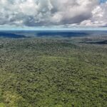 Iniciativa reúne 232 políticas de bioeconomia na região Pan-Amazônica