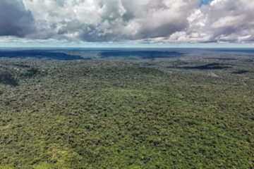 Iniciativa reúne 232 políticas de bioeconomia na região Pan-Amazônica