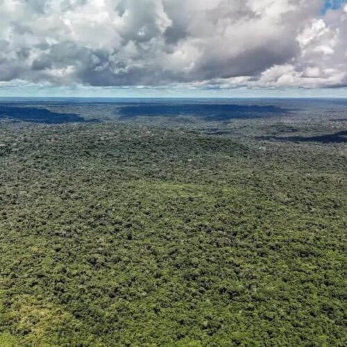 Iniciativa reúne 232 políticas de bioeconomia na região Pan-Amazônica